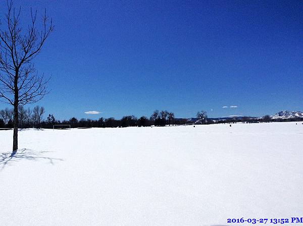 2016-03-27 13.52.11.jpg