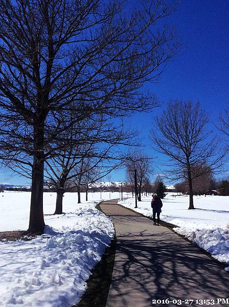 2016-03-27 13.53.01.jpg