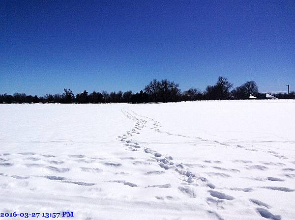 2016-03-27 13.57.55.jpg