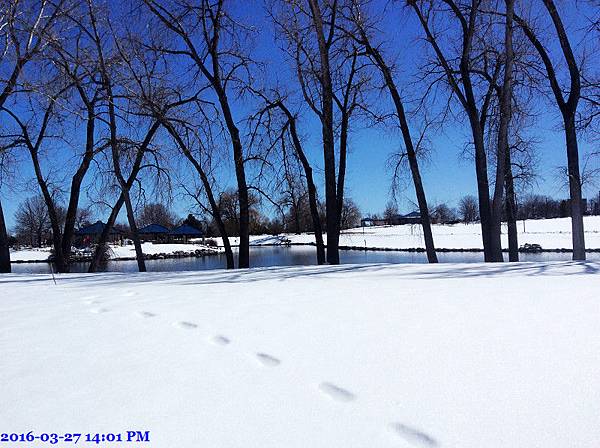 2016-03-27 14.01.08.jpg 2016-03-27 14.01.08.jpg