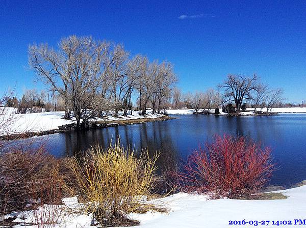 2016-03-27 14.02.59.jpg 2016-03-27 14.02.59.jpg