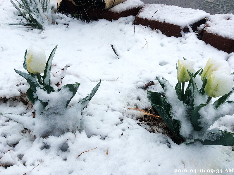 122016-04-16 09.34.27.jpg 122016-04-16 09.34.27.jpg