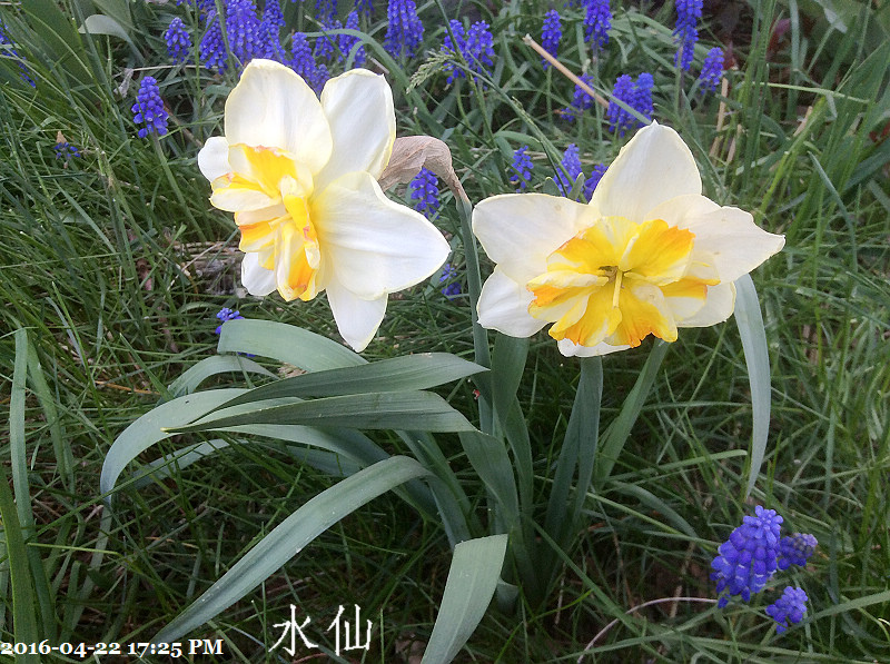 132016-04-22 17.25.40.jpg 132016-04-22 17.25.40.jpg