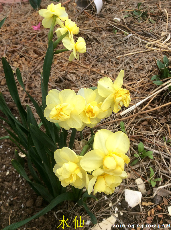 142016-04-24 10.24.05.jpg 142016-04-24 10.24.05.jpg