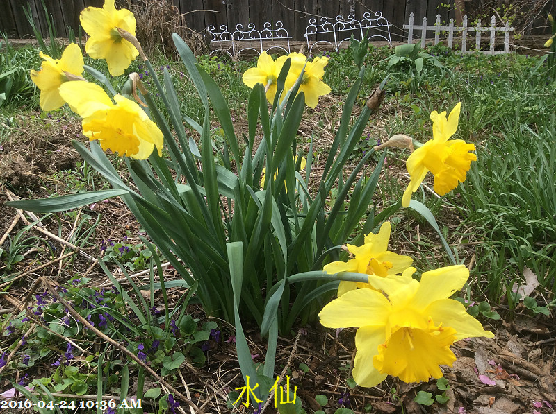 152016-04-24 10.36.21.jpg 152016-04-24 10.36.21.jpg