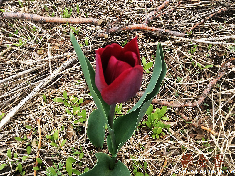 192016-04-24 10.46.52.jpg