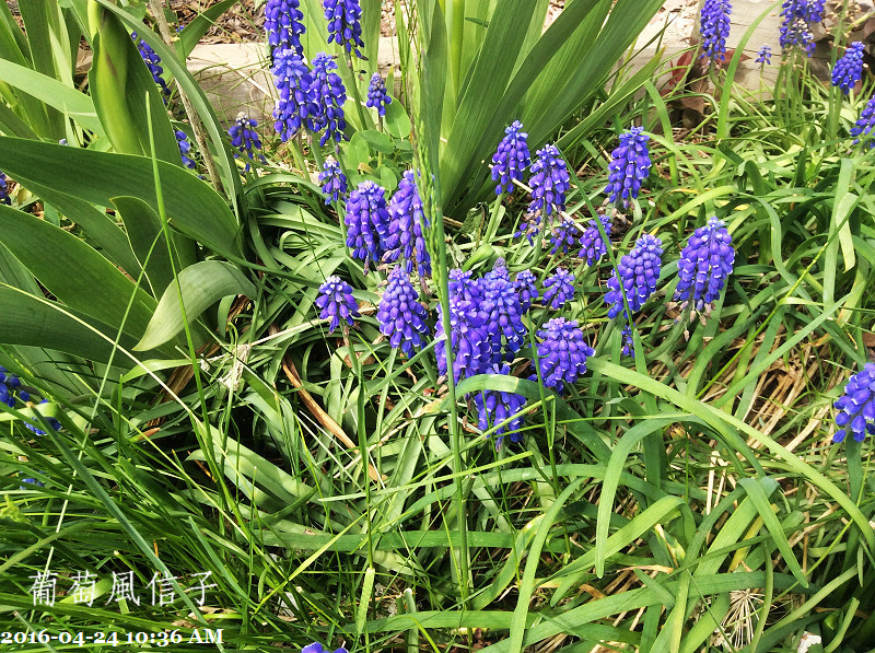 202016-04-24 10.36.52.jpg 202016-04-24 10.36.52.jpg