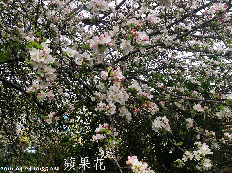 222016-04-24 10.35.14.jpg 222016-04-24 10.35.14.jpg