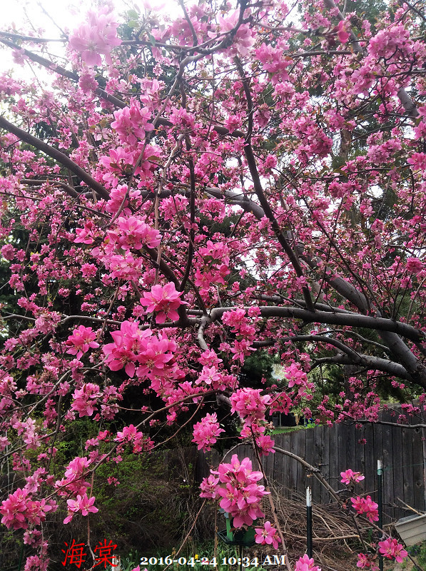 232016-04-24 10.34.23.jpg 232016-04-24 10.34.23.jpg