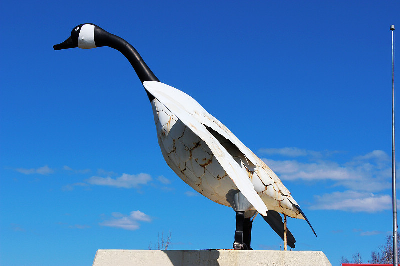 0IMG_3640.jpg 0IMG_3640.jpg