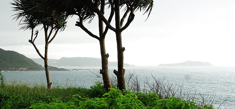 00DSC08838.jpg 00DSC08838.jpg