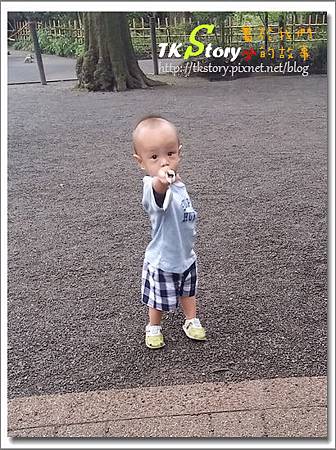 20170814_140149.jpg 20170814_140149.jpg