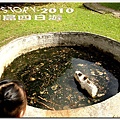 20100806-關島第一天for市區觀光~13.jpg