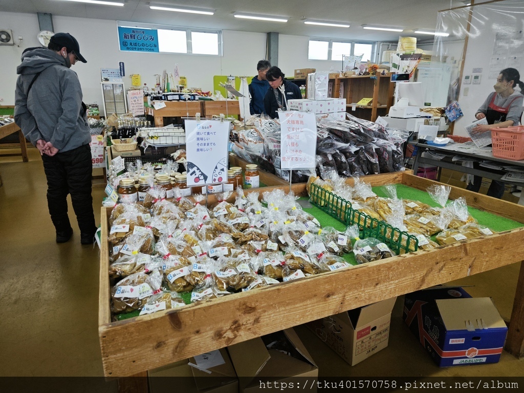 日本旅遊｜茨城旅遊，大洗景點推薦，原來可以這樣玩!海上鳥居、