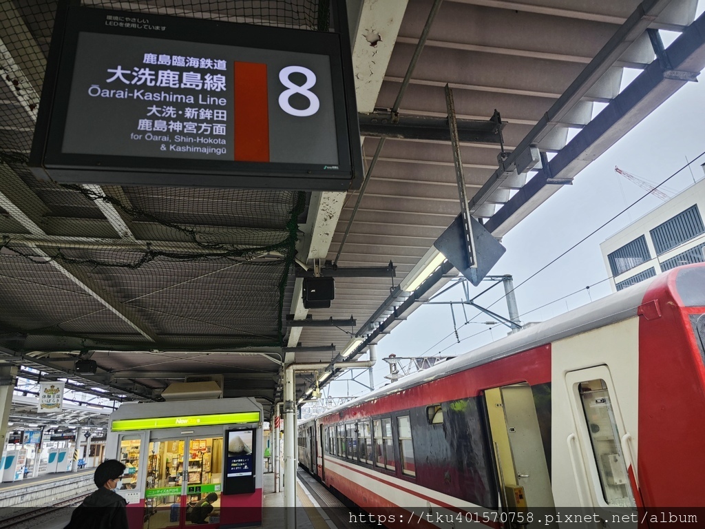 日本旅遊｜茨城旅遊，大洗景點推薦，原來可以這樣玩!海上鳥居、