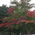 IMG_0035.JPG