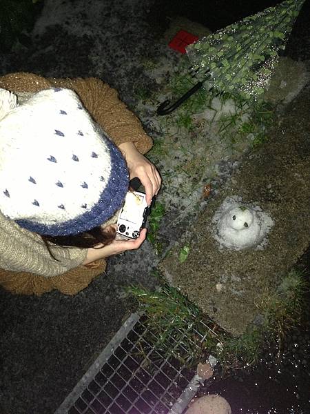 櫻花盛開的季節