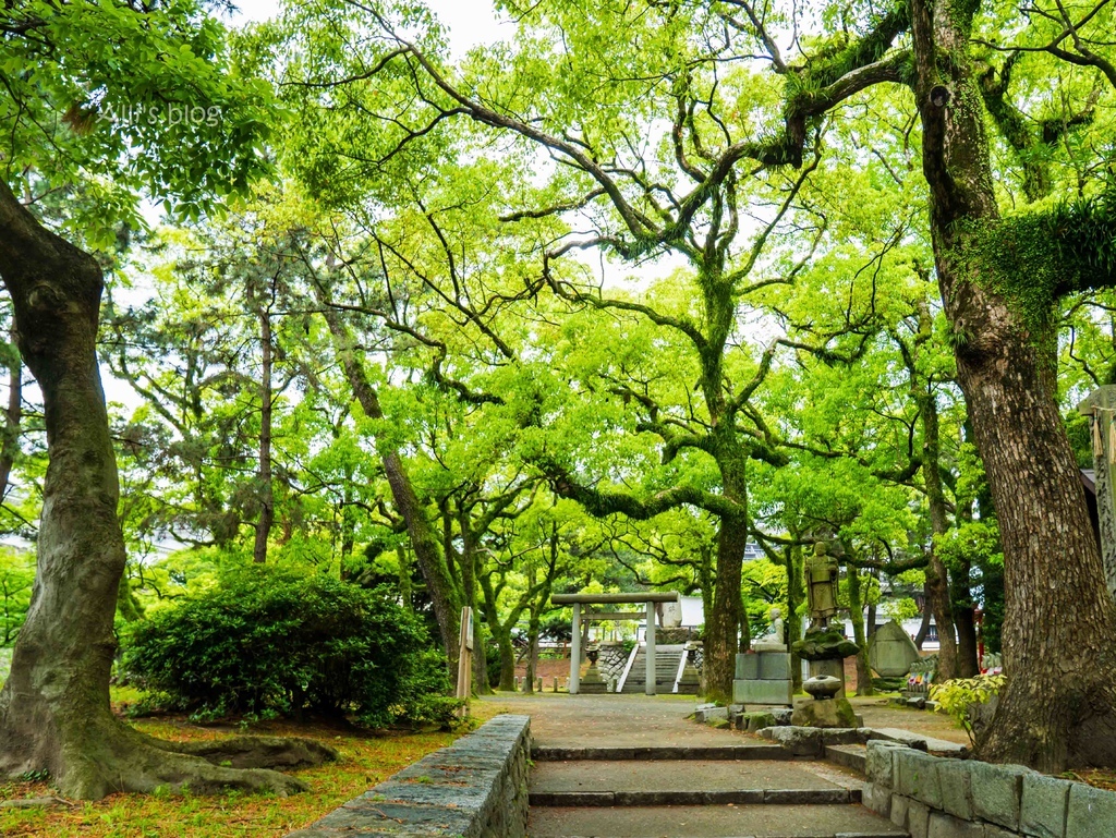 日本九州福冈自由行 小仓半日游,景点散步地图