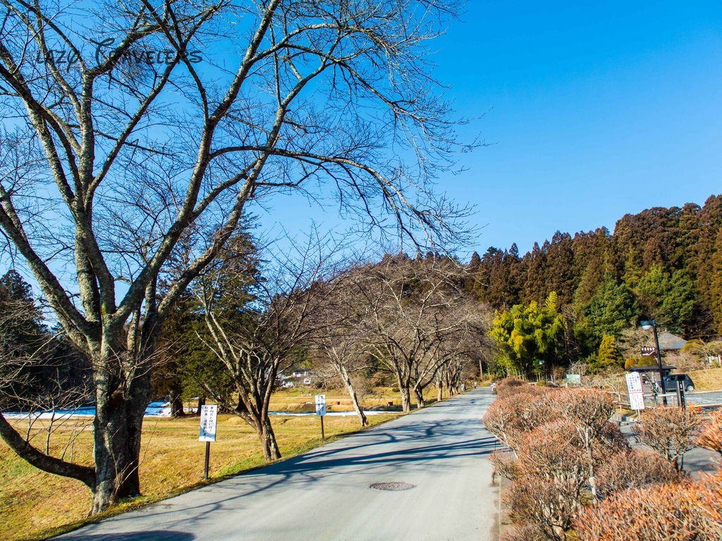 日本東北最美雪景之旅