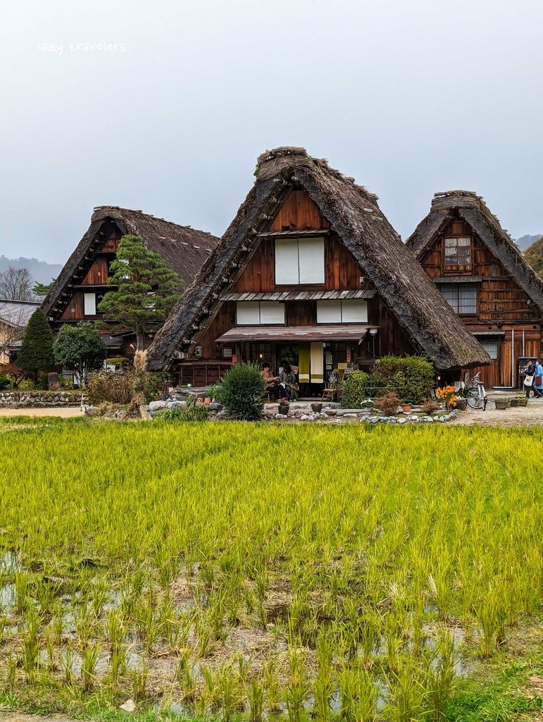 北陸賞楓