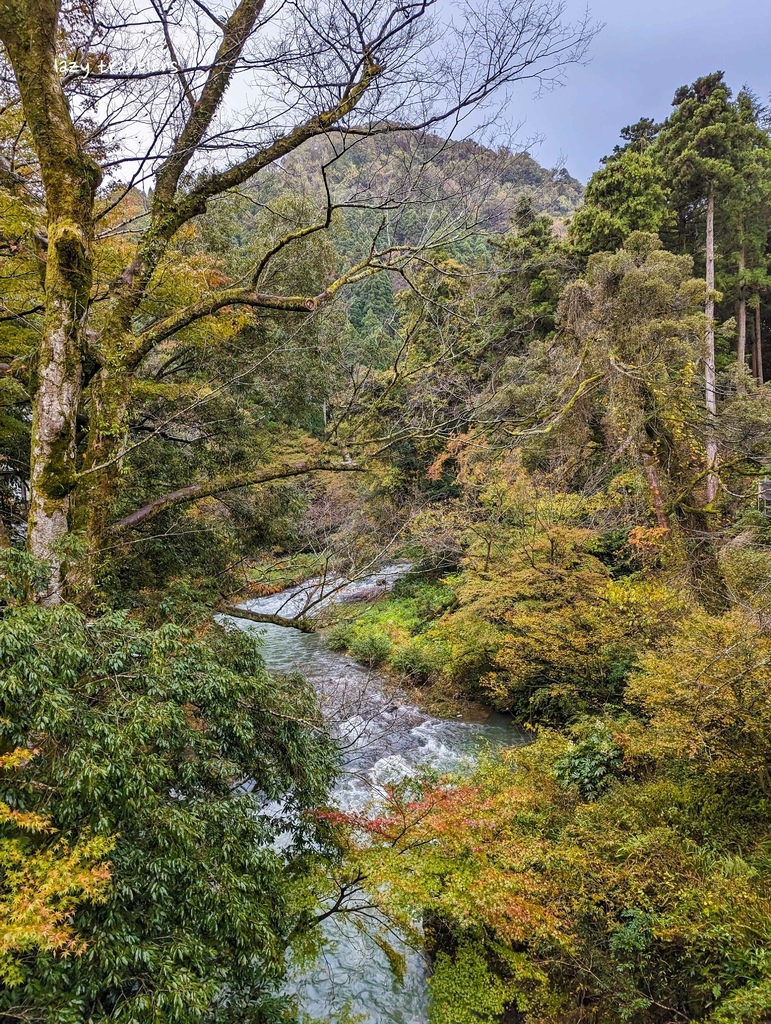 北陸賞楓