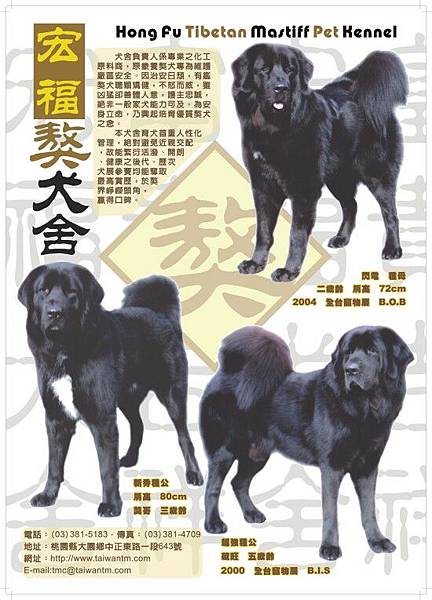 廣告版圖1