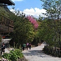 司馬庫斯的部落街景.jpg