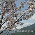 花1.jpg