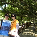 DSCN3766