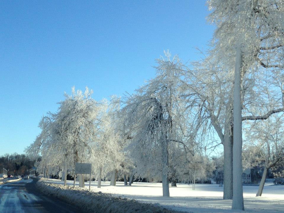 路旁的樹都結了一層冰外衣，成了水晶一般的美麗。仔細看，背向瀑布一面並不是白的，遠處的樹也沒有積雪。這應該也是瀑布的水汽造成的。.jpg