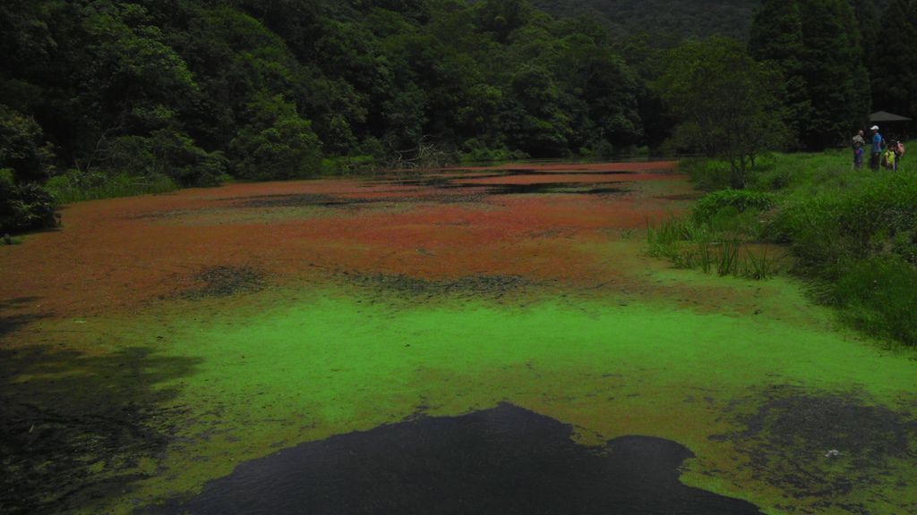 宜蘭福山公園.jpg