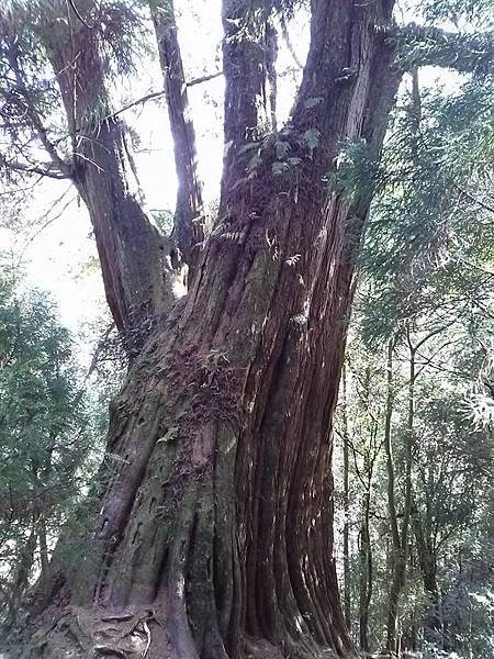 元旦雪霸國家公園一遊4.jpg