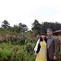 入梅東行,三之一,中橫篇1_02.JPG