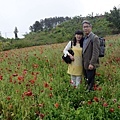 入梅東行,三之一,中橫篇1_04.JPG