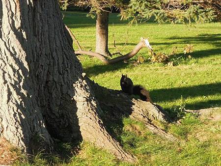 Lake Ontario Park8