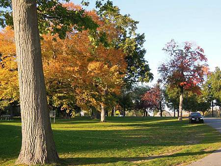 Lake Ontario Park11