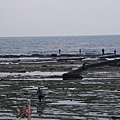 DSC04142