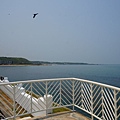 DSC08183.JPG
