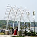 DSC08216.JPG