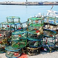 DSC08244.JPG
