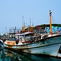 DSC08271.JPG