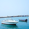 DSC08280.JPG