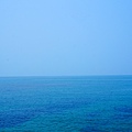DSC08286.JPG