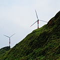 DSC08294.JPG