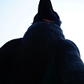 DSC08348.JPG