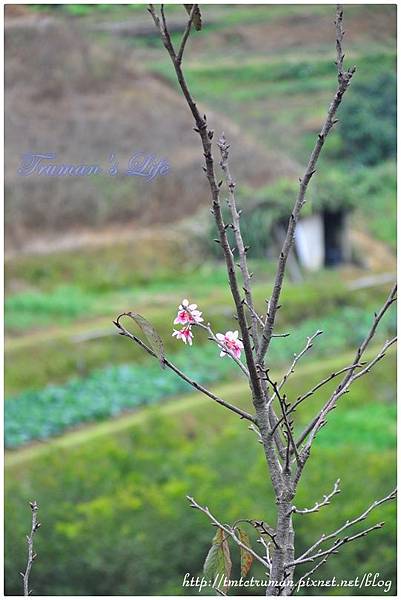 DSC_5349 DSC_5349