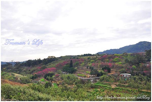DSC_5358 DSC_5358