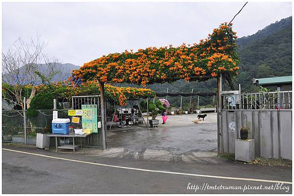 DSC_5415 DSC_5415