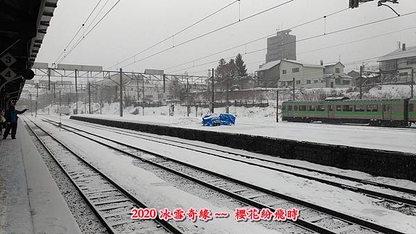 雪祭16.jpg