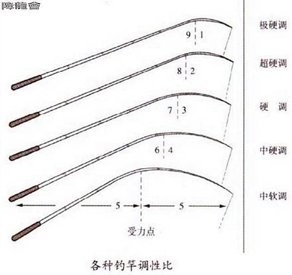 蝦竿調性解說圖